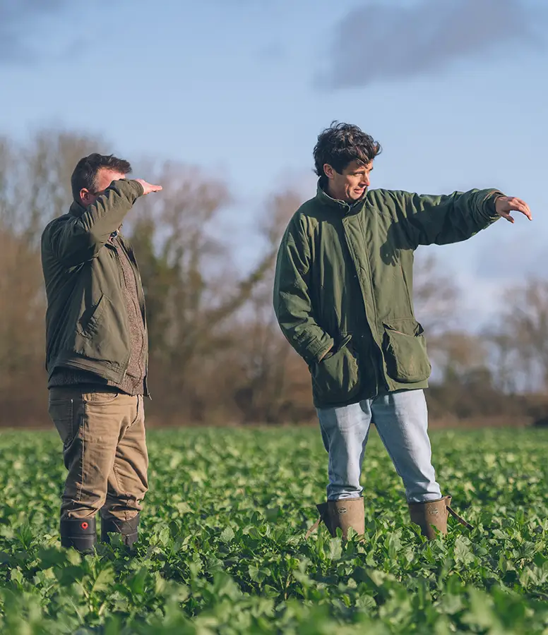 Two people inspecting farmland