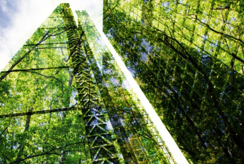 A picture of skyscrapers with a forest over the top of them